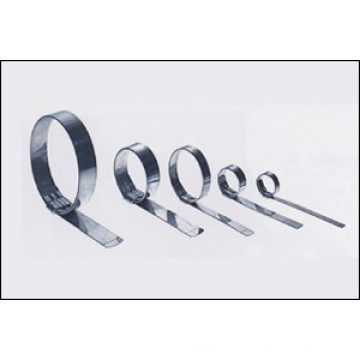 Hot Sale 304 Stainless Cable Tie Size (4.6X100mm)